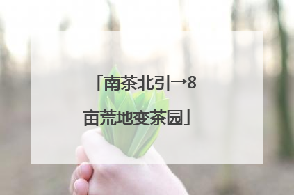 南茶北引→8亩荒地变茶园