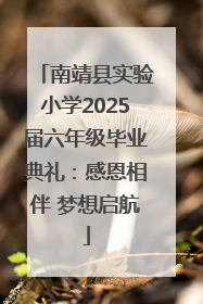 南靖县实验小学2025届六年级毕业典礼：感恩相伴 梦想启航