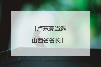卢东亮当选山西省省长