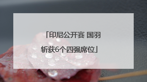 印尼公开赛 国羽斩获6个四强席位