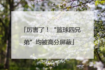 厉害了！“篮球四兄弟”均被高分屏蔽