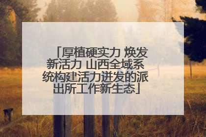 厚植硬实力 焕发新活力 山西全域系统构建活力迸发的派出所工作新生态