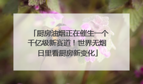 厨房油烟正在催生一个千亿级新赛道！世界无烟日里看厨房新变化