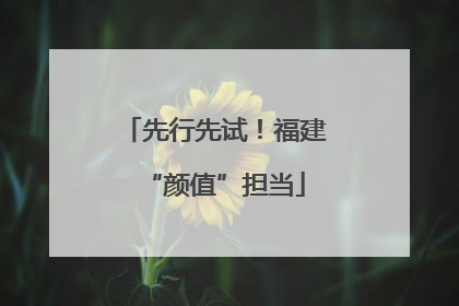 先行先试！福建“颜值”担当