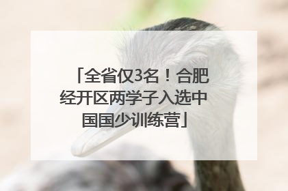 全省仅3名！合肥经开区两学子入选中国国少训练营