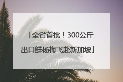 全省首批！300公斤出口鲜杨梅飞赴新加坡