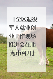全区退役军人就业创业工作现场推进会在北海市召开
