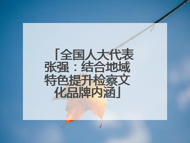 全国人大代表张强：结合地域特色提升检察文化品牌内涵