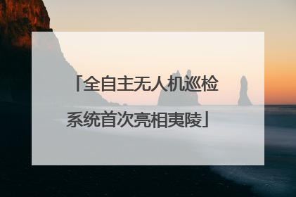 全自主无人机巡检系统首次亮相夷陵