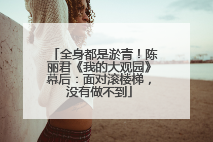 全身都是淤青！陈丽君《我的大观园》幕后：面对滚楼梯，没有做不到