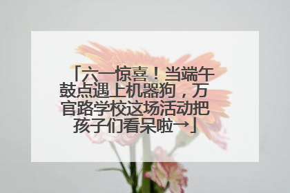 六一惊喜！当端午鼓点遇上机器狗，万官路学校这场活动把孩子们看呆啦→