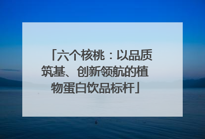 六个核桃：以品质筑基、创新领航的植物蛋白饮品标杆