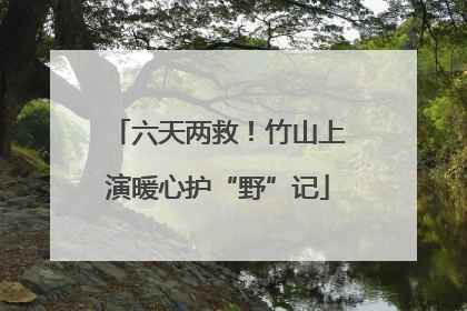 六天两救！竹山上演暖心护“野”记