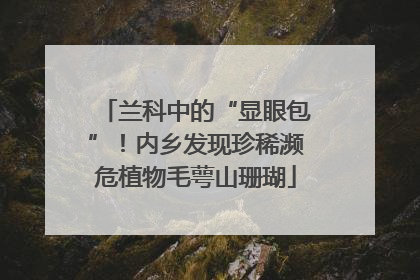 兰科中的“显眼包”！内乡发现珍稀濒危植物毛萼山珊瑚