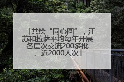 共绘“同心圆”，江苏和拉萨平均每年开展各层次交流200多批、近2000人次