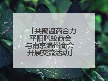 共聚温商合力 平阳腾蛟商会与南京温州商会开展交流活动