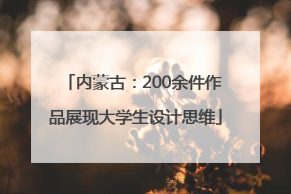 内蒙古：200余件作品展现大学生设计思维
