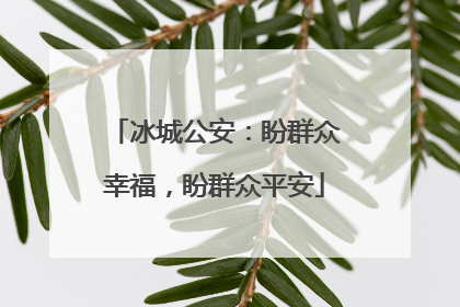 冰城公安：盼群众幸福，盼群众平安
