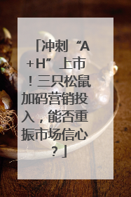 冲刺“A+H”上市！三只松鼠加码营销投入，能否重振市场信心？