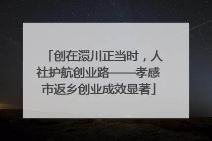 创在澴川正当时，人社护航创业路——孝感市返乡创业成效显著