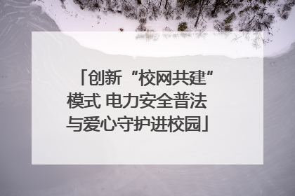创新“校网共建”模式 电力安全普法与爱心守护进校园