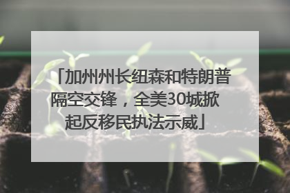 加州州长纽森和特朗普隔空交锋，全美30城掀起反移民执法示威