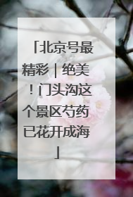 北京号最精彩｜绝美！门头沟这个景区芍药已花开成海