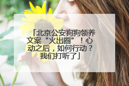 北京公安狗狗领养文案“火出圈”！心动之后，如何行动？我们打听了