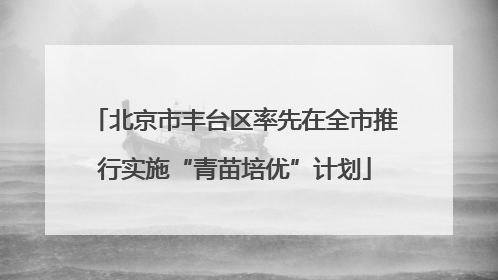 北京市丰台区率先在全市推行实施“青苗培优”计划