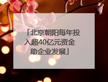 北京朝阳每年投入超40亿元资金助企业发展