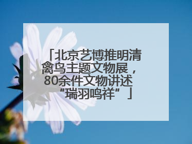 北京艺博推明清禽鸟主题文物展，80余件文物讲述“瑞羽鸣祥”