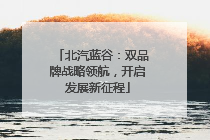北汽蓝谷：双品牌战略领航，开启发展新征程