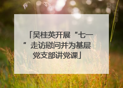 吴桂英开展“七一”走访慰问并为基层党支部讲党课