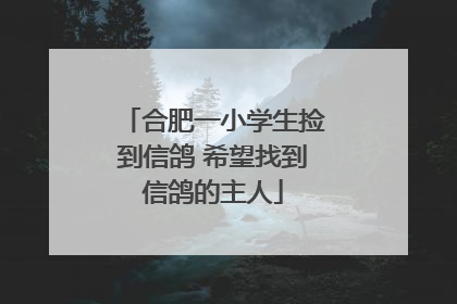 合肥一小学生捡到信鸽 希望找到信鸽的主人