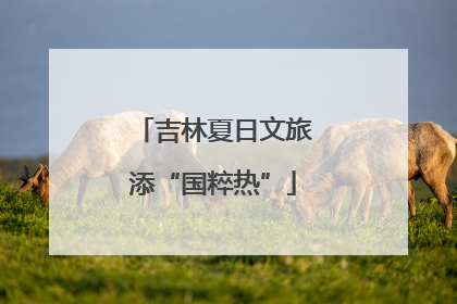 吉林夏日文旅添“国粹热”