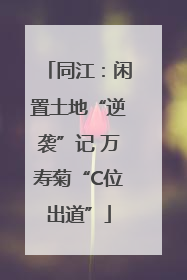 同江：闲置土地“逆袭”记 万寿菊“C位出道”