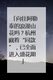 向往阿勒泰的浪漫山花吗？杭州藏着“同款”，已全面进入盛花期
