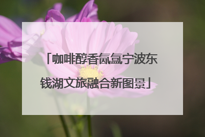 咖啡醇香氤氲宁波东钱湖文旅融合新图景