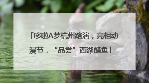 哆啦A梦杭州路演，亮相动漫节，“品尝”西湖醋鱼