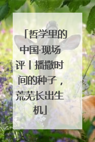 哲学里的中国·现场评丨播撒时间的种子，荒芜长出生机