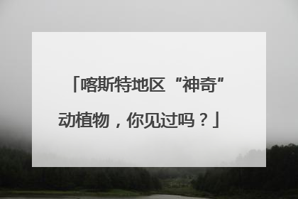 喀斯特地区“神奇”动植物，你见过吗？