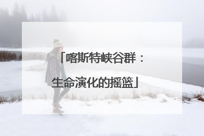 喀斯特峡谷群：生命演化的摇篮