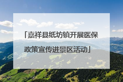 嘉祥县纸坊镇开展医保政策宣传进景区活动