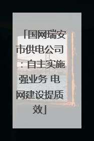 国网瑞安市供电公司：自主实施强业务 电网建设提质效