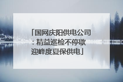 国网庆阳供电公司：精益巡检不停歇 迎峰度夏保供电