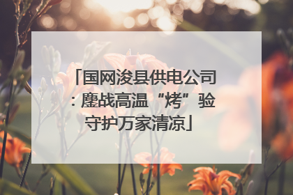 国网浚县供电公司：鏖战高温“烤”验 守护万家清凉