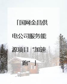 国网金昌供电公司服务能源项目“加速跑”