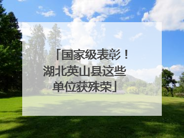 国家级表彰！湖北英山县这些单位获殊荣
