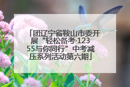 团辽宁省鞍山市委开展“轻松备考·12355与你同行”中考减压系列活动第六期