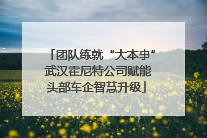 团队练就“大本事” 武汉霍尼特公司赋能头部车企智慧升级